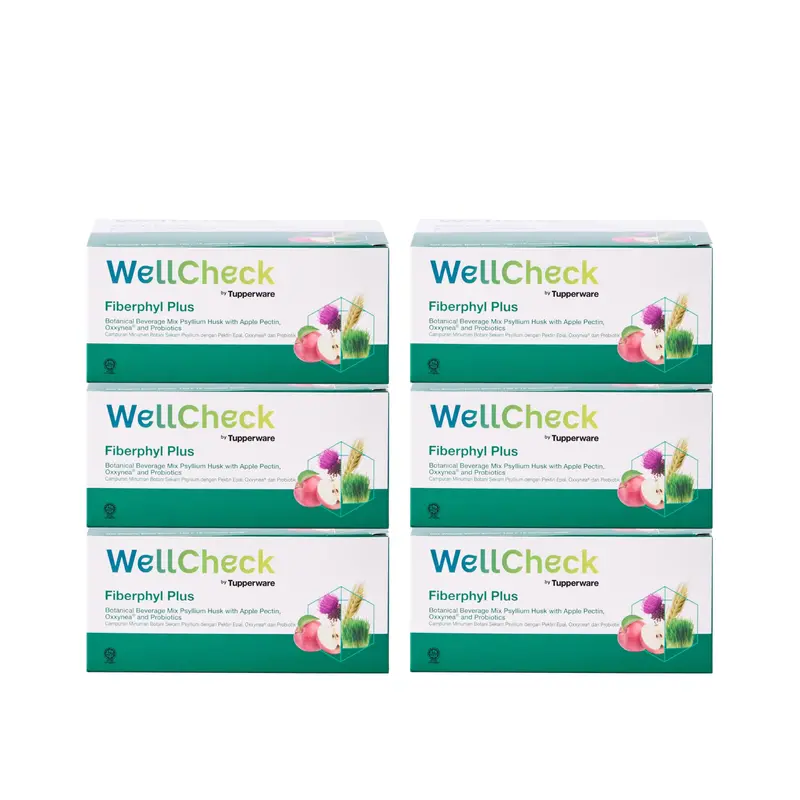 Wellcheck Fiberphyl Plus Digestive Support – 6 Boxes (15G × 15 Sachets Per Box) 1